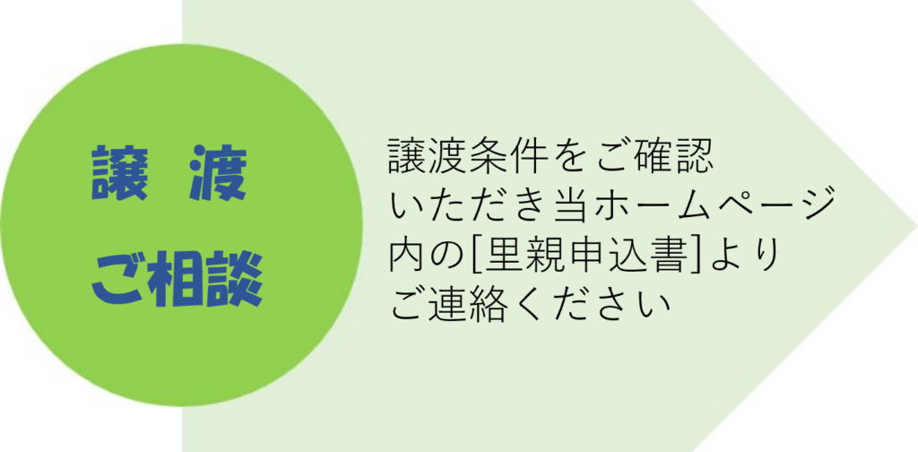 譲渡までのながれ