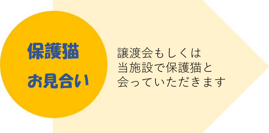 譲渡のながれ2　猫用