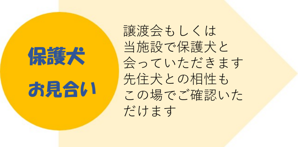 譲渡のながれ2　犬用