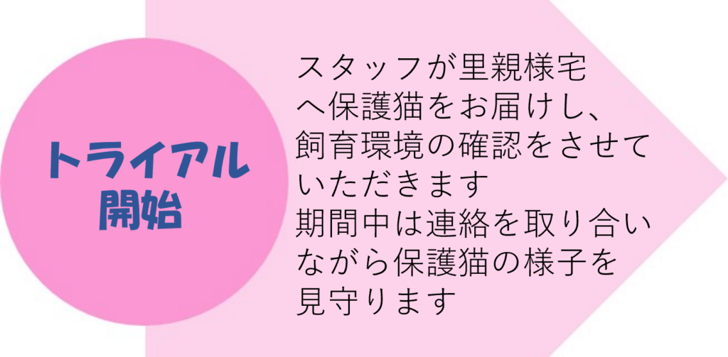 譲渡のながれ3　猫用