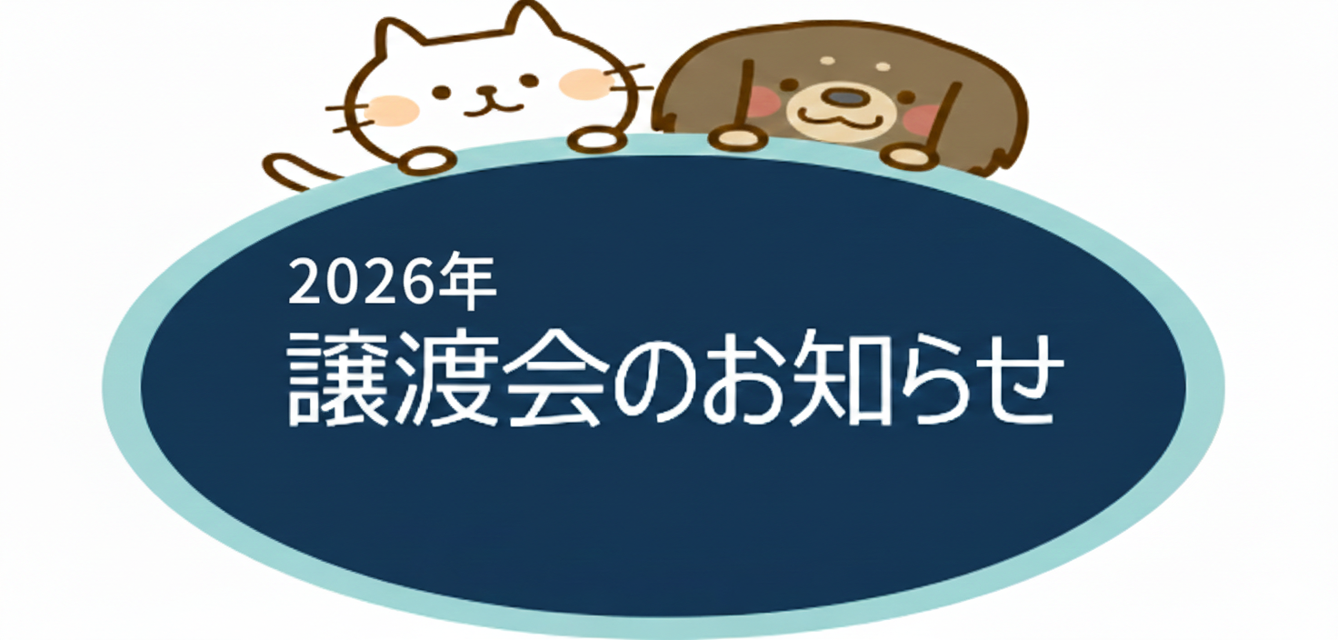 譲渡会のお知らせ