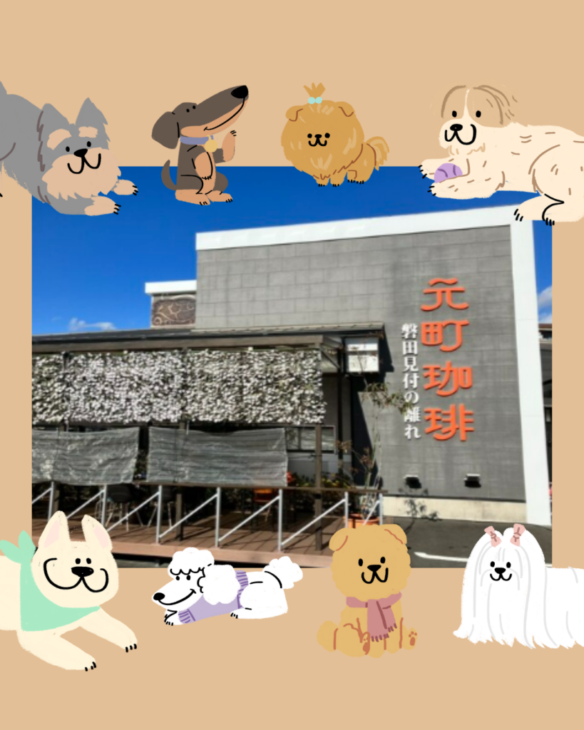 譲渡会 元町珈琲 260329